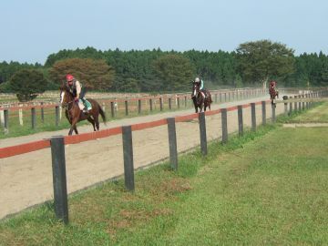 有限会社下河辺トレーニングセンター-3