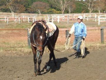 有限会社下河辺トレーニングセンター-5
