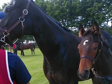 有限会社下河辺トレーニングセンター-6