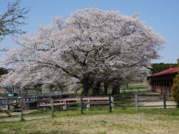 有限会社下河辺トレーニングセンター-8