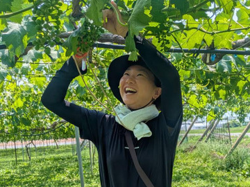 ゴヘイのぶどう園-7