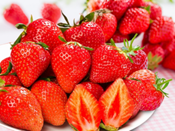 佐賀県伊万里市　農業研修生募集