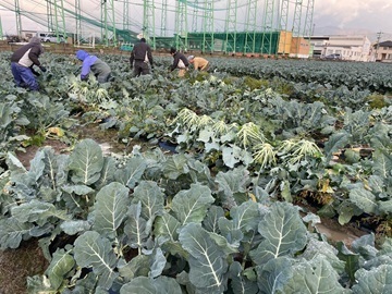 株式会社西濃パイロット-7