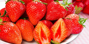 佐賀県伊万里市　農業研修生募集