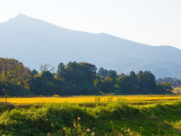 エスファクトリー千葉株式会社-2