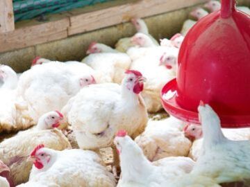 エスファクトリー千葉株式会社-4