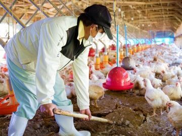 エスファクトリー千葉株式会社-5