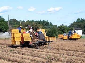 合同会社鶴田【茨城県:栽培・加工】-1