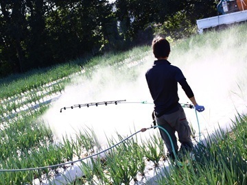 大分県九重町×露地野菜/法人【43145】-2