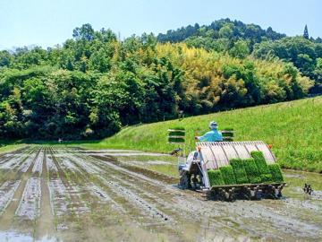 有限会社アグリサポート-7