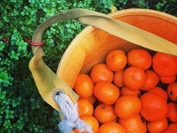 株式会社OSN/OrangeStoreニノミヤ【正社員】-6