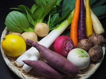 棚宗サラダ農園-1