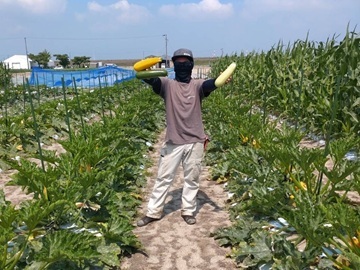 棚宗サラダ農園-6