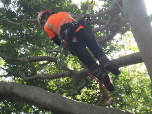 有限会社エムテックグリーン-top