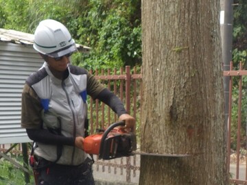 有限会社エムテックグリーン-3