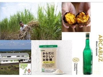 大東製糖種子島株式会社【鹿児島県:食品加工】-top