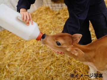 株式会社イーダブルニュートリション・ジャパン【岐阜県:製品製造】-1