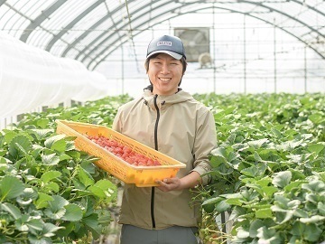 香川県観音寺市×施設野菜/法人【43149】-2