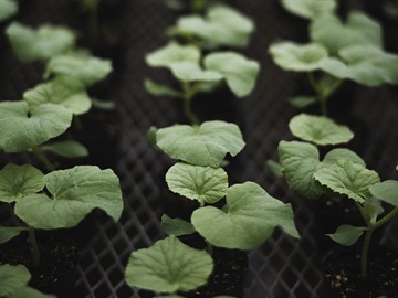 株式会社篤農-3