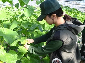 株式会社篤農-4