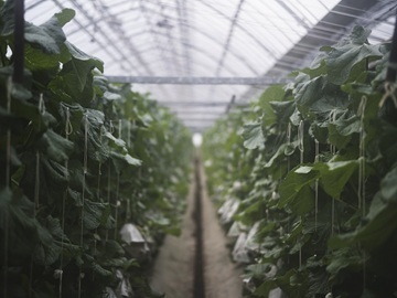 株式会社篤農-6