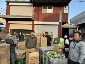 双日島育ち青果株式会社-top