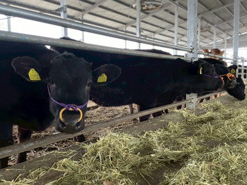 有限会社月尾企画-3