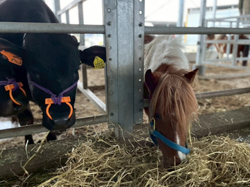 有限会社月尾企画-7