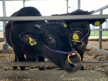 有限会社月尾企画-2