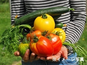 長野県軽井沢町×農園/個人【43154】-top