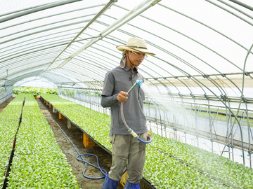 株式会社長沼農園-4