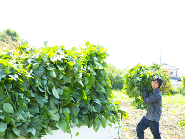 株式会社長沼農園-2