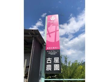 有限会社マルサフルーツ古屋農園-7