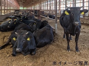 北海道芽室町×肉牛・畑作/法人【43159】-top