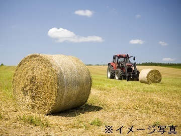 北海道芽室町×肉牛・畑作/法人【43159】-1
