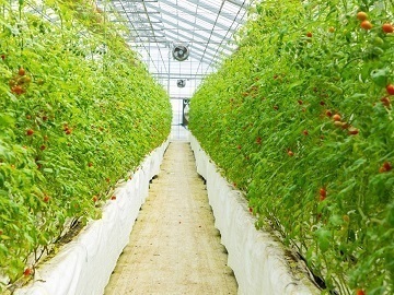 株式会社OSMIC FOODS-2