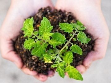 株式会社OSMIC FOODS-3