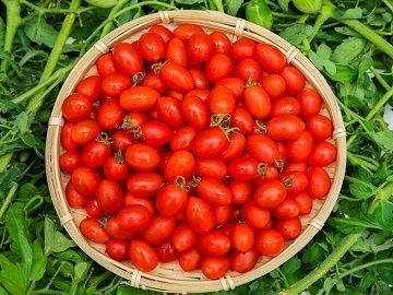 株式会社OSMIC FOODS-6