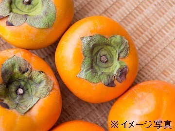 有限会社三共青果【農場】-top