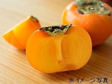 有限会社三共青果【農場】-1