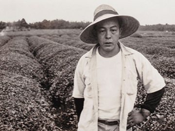 有限会社末重製茶-7