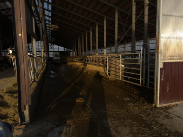 遠藤牧場(厚岸町)-1