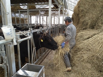 有限会社やまだファーム-1