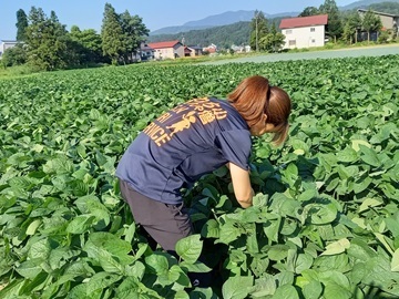 有限会社オーエムシー-2