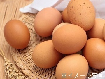 千葉県千葉市×養鶏/法人【40589】-2