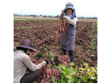 株式会社鈴勝ファーム-2