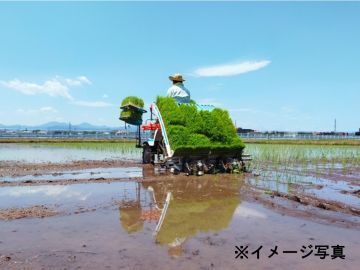 埼玉県杉戸町×稲作・露地野菜/法人【43172】-top