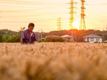 株式会社原農場-3