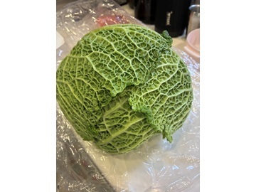 株式会社木貞商店-4