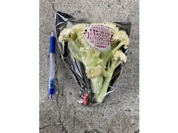 株式会社木貞商店-2